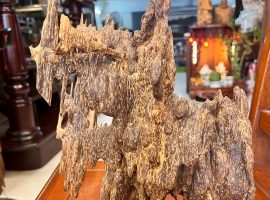 TRẦM HƯƠNG THANH HẰNG – TINH HOA TRẦM VIỆT, GIÁ TRỊ VƯỢT THỜI GIAN